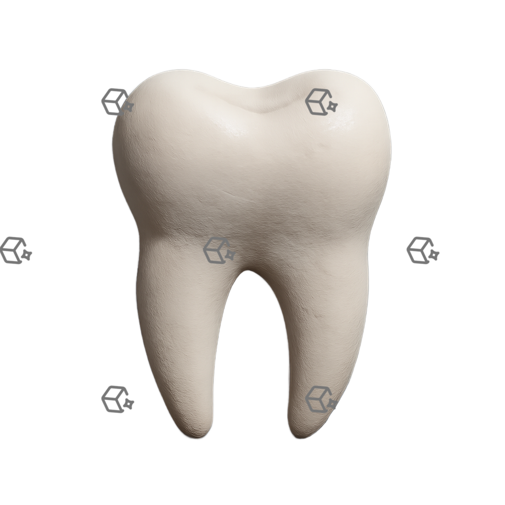 Ivory Clay Tooth Icon — Soft 3D Dental Molars, Rounded